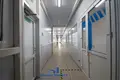 Produktion 4 351 m² Minsk, Belarus