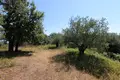 Działki 1 pokój 2 000 m² Agnitsini, Grecja