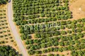 Land 1 560 m² Kalyves Polygyrou, Greece