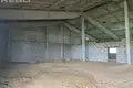 Warehouse 600 m² in Cervien, Belarus