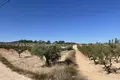 Atterrir 7 860 m² Jumilla, Espagne