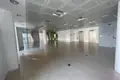 Office 1 600 m² in Nicosia, Cyprus