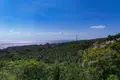 Działki 10 000 000 m² Kutampi Kaler, Indonezja