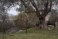 Land , Montenegro