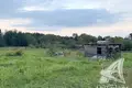 Land 48 m² Vielikarycki sielski Saviet, Belarus