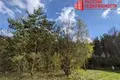 Atterrir  Padlabienski sielski Saviet, Bélarus