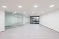 Commercial property 126 m² in Capital City of Prague, Czech Republic