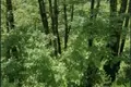 Земельные участки  Колашин, Черногория