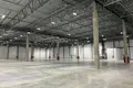 Склад 5 260 м² Быково, Россия