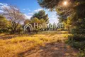 Parcelas 15 000 m² Nikiti, Grecia