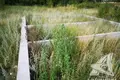 Земельные участки  Степанки, Беларусь