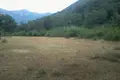 Atterrir  Zupci, Monténégro