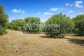 Land 5 300 m² Kalandra, Greece