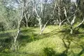 Land 1 room 3 330 m² Pachatika, Greece