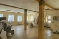 Propriété commerciale 34 m² à Navahroudak, Bélarus