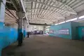 Manufacture 4 619 m² in Krychau, Belarus