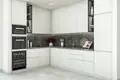 Mieszkanie 1 pokój 71 m² Radovici, Czarnogóra