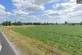 Земельные участки 254 085 м² Опаленица, Польша