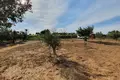 Działki 1 pokój  Nea Plagia, Grecja