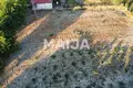 Dom  Novosele, Albania