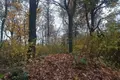 Parcelas  Odincovskij gorodskoj okrug, Rusia