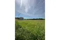 Land 5 832 m² Opcina Barban, Croatia