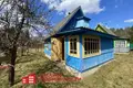 House 31 m² Parecki sielski Saviet, Belarus
