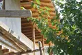 Wohnung 230 m² Cherganovo, Bulgarien