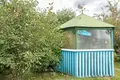 Коттедж 258 м² Старобинский сельский Совет, Беларусь