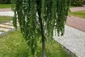 Mieszkanie 26 m² Kopishche, Białoruś