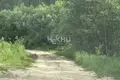 Дом 71 м² Богородский муниципальный округ, Россия