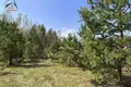 Grundstück  Pratasievicki sielski Saviet, Belarus