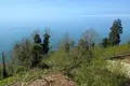Działki  Sarpi, Gruzja
