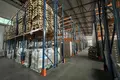 Magazyn 1 495 m² Staraya Kupavna, Rosja