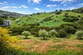Parcelas 2 800 m² Neos Marmaras, Grecia