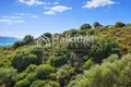 Земельные участки 11 000 м² Амолиани/Амулиани/Амульяни/Аммулияни, Греция