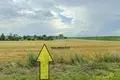 Haus 195 m² Plisa, Belarus