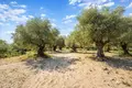 Atterrir 2 600 m² Neos Marmaras, Grèce