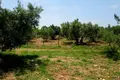 Land 1 room 5 338 m² Polygyros Municipality, Greece