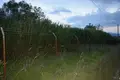 Земельные участки 1 комната  Kordelio Evosmos Municipality, Греция