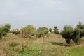 Atterrir 1 chambre  Kriopigi, Grèce