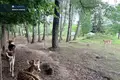 Działki  Żegżdry, Litwa