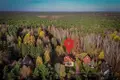 5 room house 231 m² Izabelin C, Poland