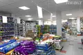 Propriété commerciale 248 m² à Minsk, Bélarus