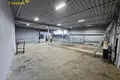 Nieruchomości komercyjne 222 m² w Mińsk, Białoruś