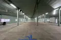 Manufacture 1 060 m² in Kirsy, Belarus