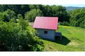 House 95 m² Swinna Poreba, Poland