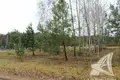 Land 64 m² Masievicy, Belarus