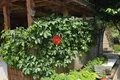 1 bedroom apartment 77 m² Sveti Vlas, Bulgaria