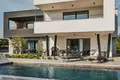 Dom 5 pokojów 303 m² Cepljani, Chorwacja